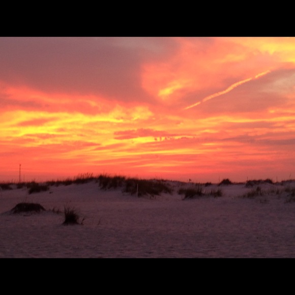 Meet your Posher, Ray - Picture 5 of 13